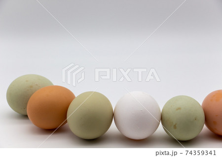 アローカナの青い卵 いろいろな色の卵を並べている アローカナの青い卵 いろいろな色の卵を並べている 74359341