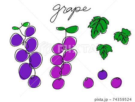 一筆書き 一房のブドウ カラー 葡萄の葉のイラスト素材