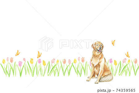 蝶が舞う春のお花畑で微笑む犬【水彩画フレーム】 74359565