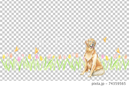 蝶が舞う春のお花畑で微笑む犬【水彩画フレーム】 74359565