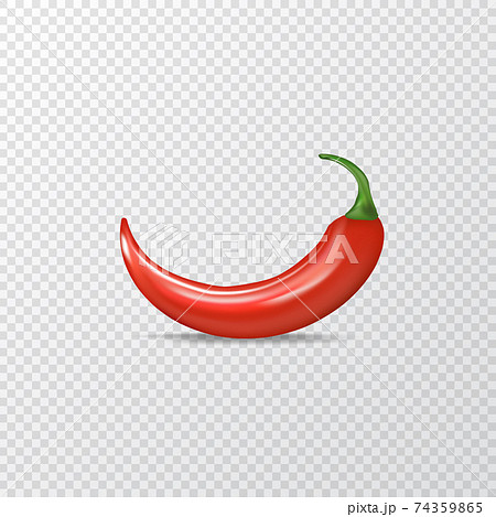 Red hot chili pepper realistic vector illustration. red hot chili pepper lay on transparent background with shadow for labels and logo design Red hot chili pepper realistic vector illustration. red hot chili pepper lay on transparent background with shadow for labels and logo design 74359865