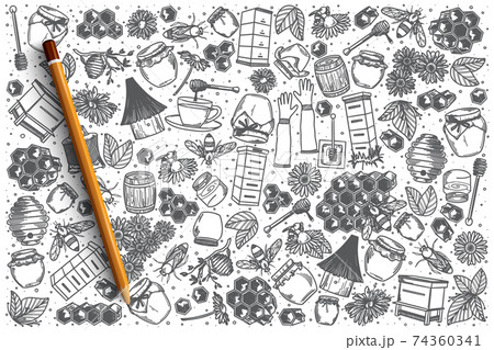 Hand drawn Honey vector doodle set Hand drawn Honey vector doodle set 74360341