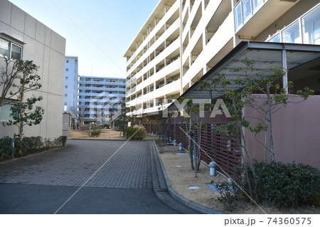 マンションの駐輪場 マンションの駐輪場 74360575