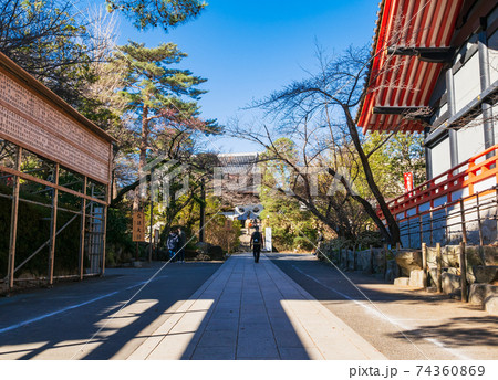 東京　高幡不動尊金剛寺　参道 74360869