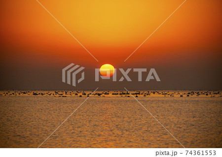 海 夕焼け 日の出 74361553