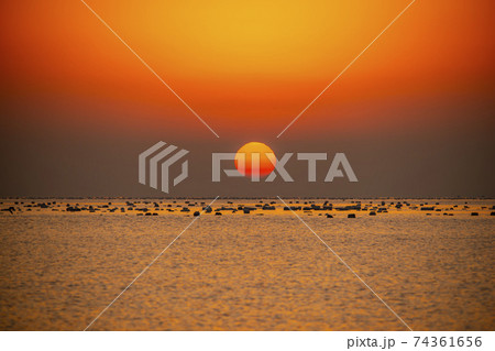 海 夕焼け 日の出 74361656