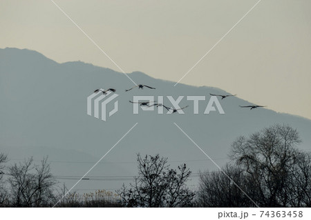 鳥 冬 山 74363458
