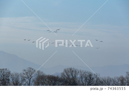 鳥 冬 山 74363555