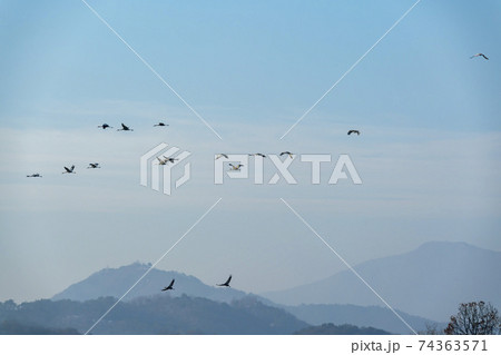 鳥 山 空 74363571