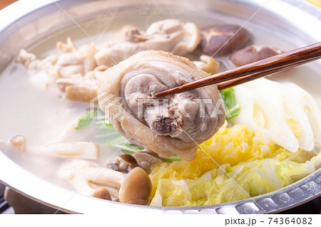 鶏の水炊き 74364082