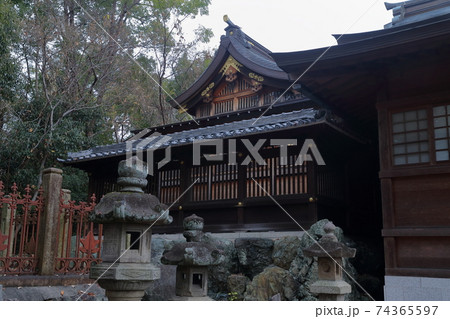 本殿(城山八幡宮 神社 愛知県 名古屋市 千種区) 本殿(城山八幡宮 神社 愛知県 名古屋市 千種区) 74365597