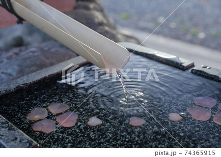 水みくじで恋占い(城山八幡宮 神社 愛知県 名古屋市 千種区) 水みくじで恋占い(城山八幡宮 神社 愛知県 名古屋市 千種区) 74365915
