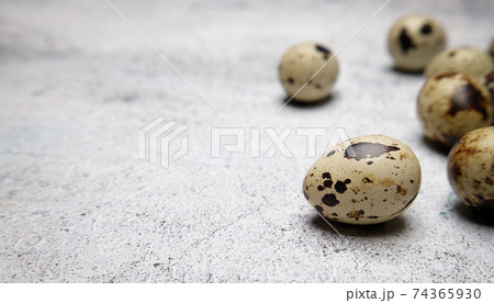 Quail eggs small spotted on a gray stone table 74365930