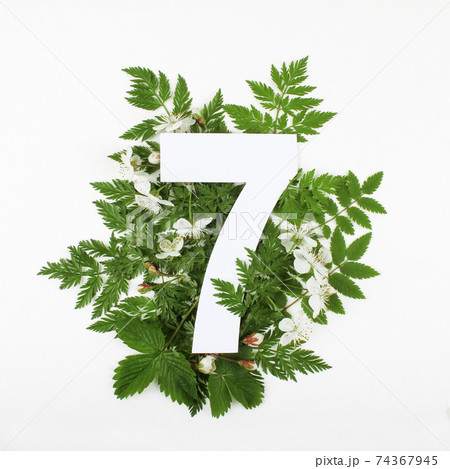 Number 7 with cherry blossoms and green leaves.  74367945