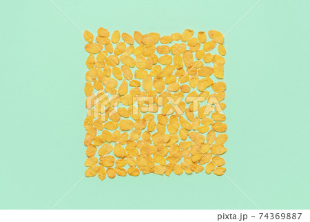 Corn flakes above view on a green mint background. 74369887