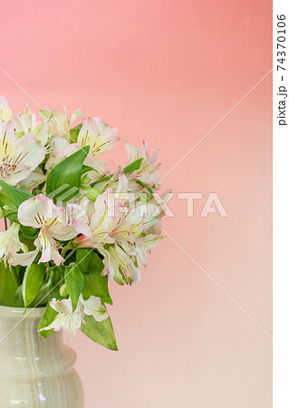 縞瑪瑙の花瓶に活けたアルストロメリアの花束の写真素材