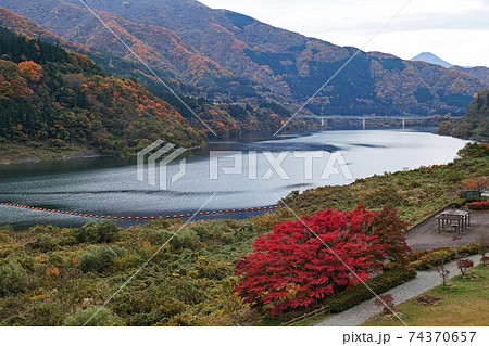 福島県/ 紅葉の大川ダム 若郷湖 福島県/ 紅葉の大川ダム 若郷湖 74370657