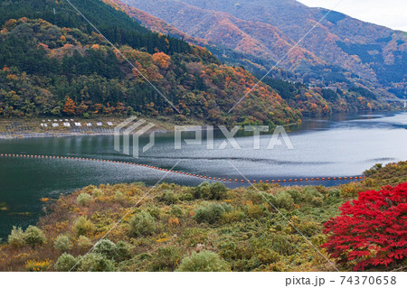 福島県/ 紅葉の大川ダム 若郷湖 福島県/ 紅葉の大川ダム 若郷湖 74370658