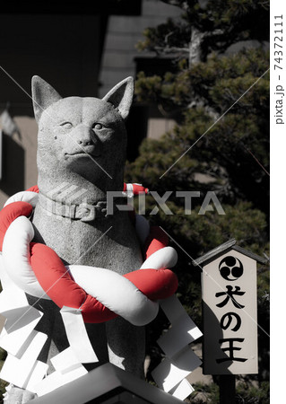 伊奴神社 74372111