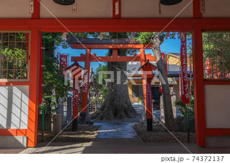 伊奴神社 伊奴神社 74372137