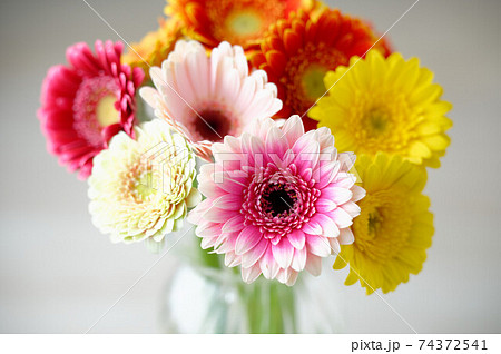 ガーベラのフラワーアレンジメント、花器、花、フワラーベース、カラフル、お花。 74372541