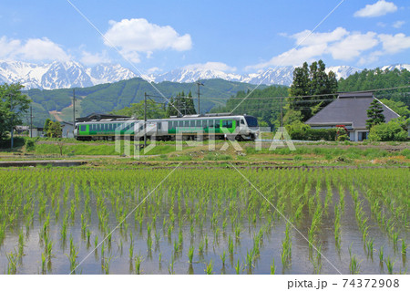 大糸線　初夏の白馬山麓を行くリゾートビューふるさと 74372908