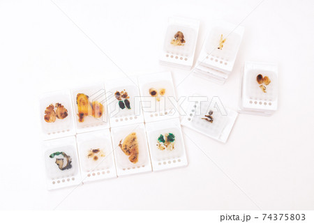 Paraffin Embedded Tissue Blocks of Cancer on iSolated White Background. 74375803