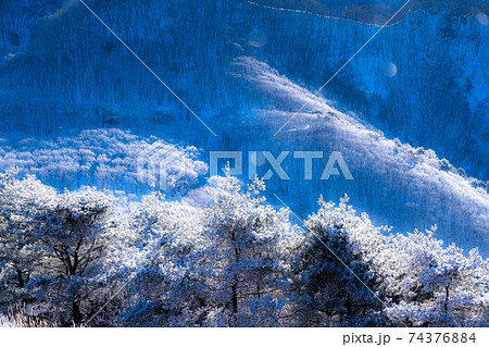 《長野県》ダイヤモンドダスト舞う・霧氷の森 74376884