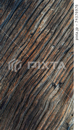 Dark wood texture. Close-up vertical wood picture Dark wood texture. Close-up vertical wood picture 74376976