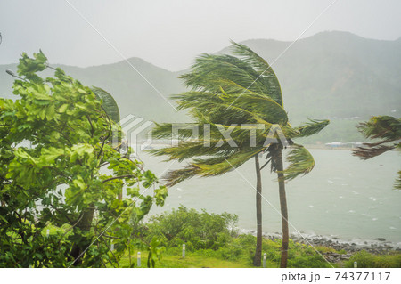 Tropical storm, heavy rain and high winds in tropical climates 74377117