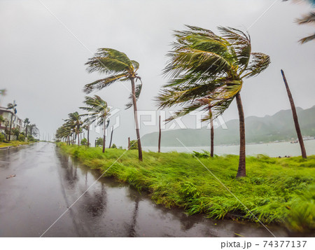 Tropical storm, heavy rain and high winds in tropical climates Tropical storm, heavy rain and high winds in tropical climates 74377137