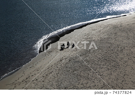 熱海サンビーチ夕暮れの海岸・波打ち際を散歩する親子三人のシルエット 74377824