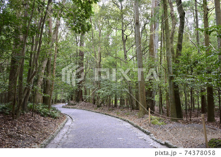 伊勢神宮 内宮 榊の参道 伊勢神宮 内宮 榊の参道 74378058