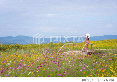 Beautiful woman in nature flower. 74378348