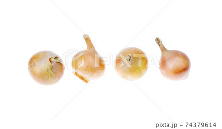 Golden onions isolated on white. Studio Photo 74379614
