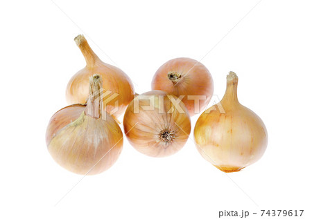 Golden onions isolated on white. Studio Photo 74379617