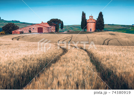 Amazing grain fields and cute Vitaleta chapel in Tuscany, Italy Amazing grain fields and cute Vitaleta chapel in Tuscany, Italy 74380919