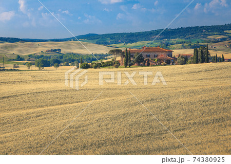 Tuscany rural scenery and grain fields at sunny day, Italy 74380925