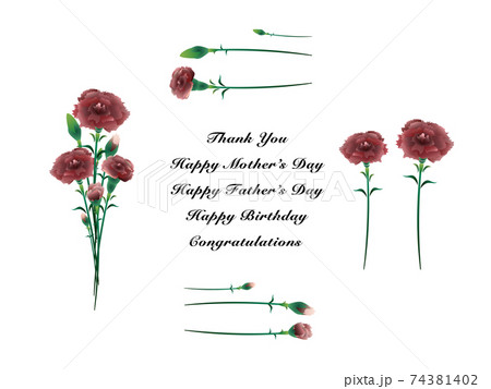 花の素材セット カーネーション ワインレッド 複数バリエーションありのイラスト素材 花の素材セット カーネーション ワインレッド 複数バリエーションありのイラスト素材