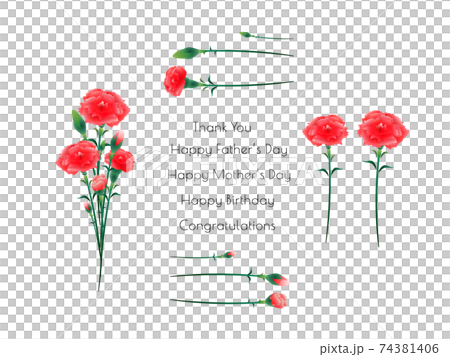 花朵材料set_carnation_red_可用多種變體 74381406