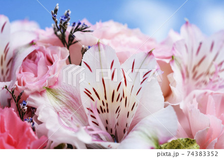 花のイメージ素材 花のイメージ素材 74383352