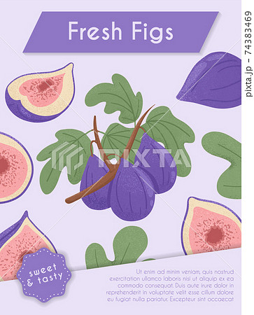 Fresh figs card design. Sweet figs fruit on branch with leaves vector hand drawn poster concept. 74383469