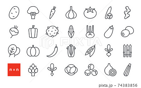Set of vector linear icons. Vegetables. Contour, shape, outline. Thin line. Modern minimalistic design. Healthy food and vitamins 74383856