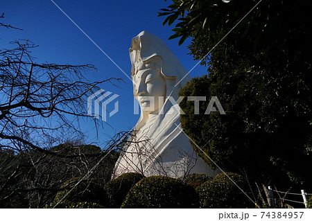 大船観音 大船観音 74384957