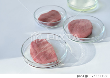 lab gown meat in a Petri dish. Meat in glass cell culture dish 74385409