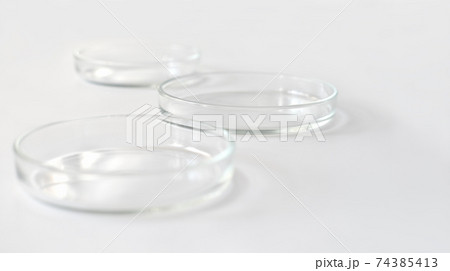 empty glass Petri dishes on a laboratory table.  74385413
