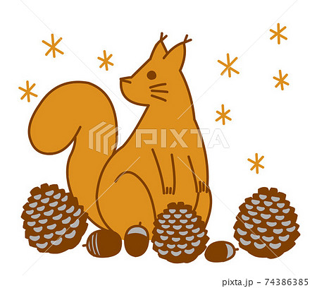 リスと松ぼっくりのイラスト素材