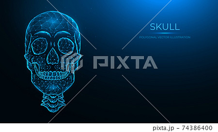 Polygonal vector illustration of a human skull, front view. Low poly anatomical model of the skull and cervical spine on dark blue background. 74386400