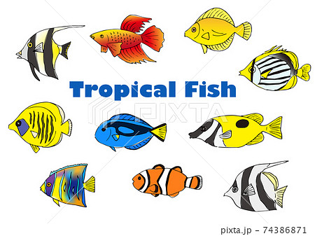 Tropical Fish Illustration Set Stock Illustration