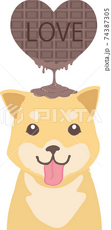 とろけるハートチョコレート柴犬 74387305